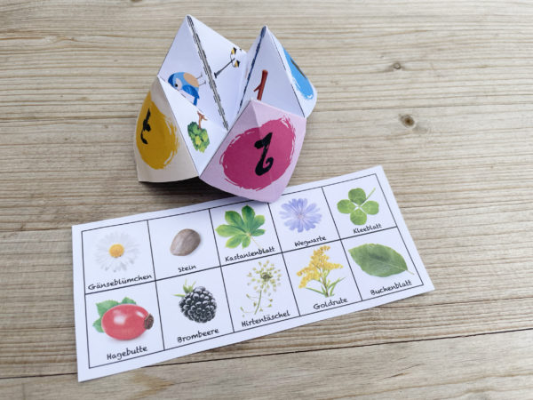 Schnabber oder Himmel und Hölle mit dem Naturbingo der Abenteuerbox von Abenteuerkids. Erlebnisse für Draussenkinder und Abenteuer Kids.