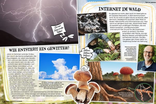 MeinAbenteuer-Das Magazin für Draussenkinder_Ausgabe2_22 - Wie entsteht ein Gewitter? Internet im Wald oder Waldinternet.