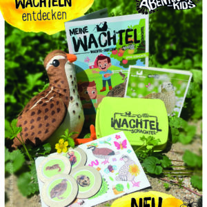 Alles, was du in der Wachtelschachtel Spaßschachtel finden kannst, nicht auf dem Bild abgebildet, die viele Bastelbögen