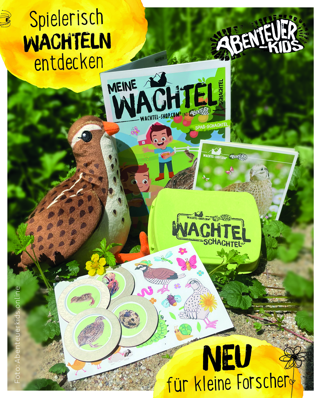 Alles, was du in der Wachtelschachtel Spaßschachtel finden kannst, nicht auf dem Bild abgebildet, die viele Bastelbögen