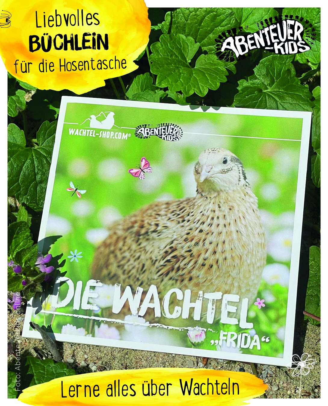 Wachtelbuch mit Wissen für die Hosentasche