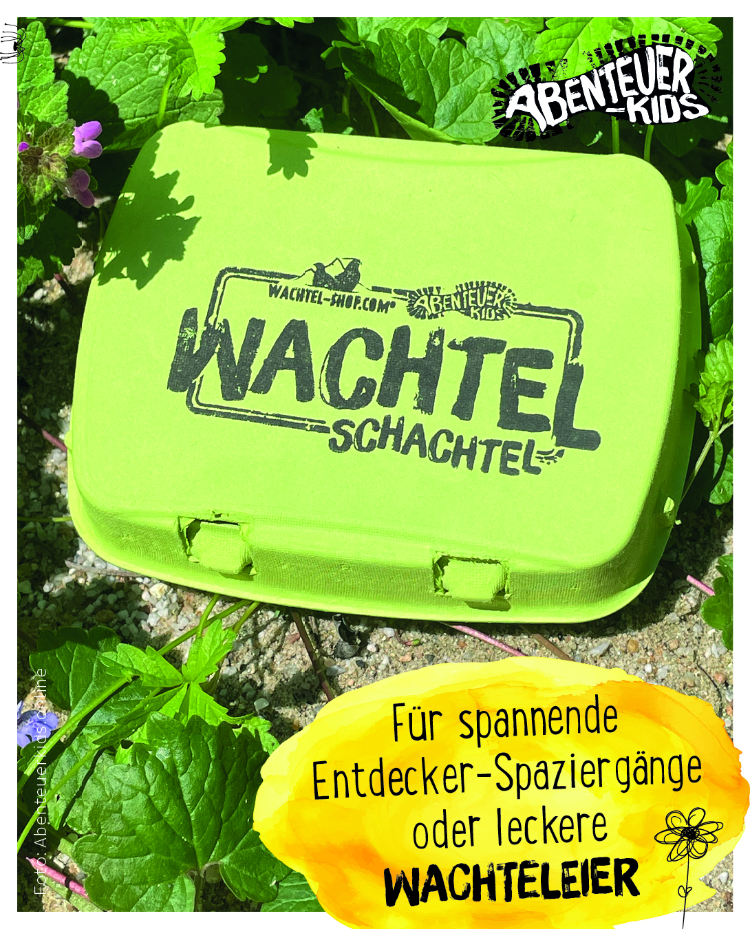 Eierkartion für Naturbingo oder leckere Wachteleier