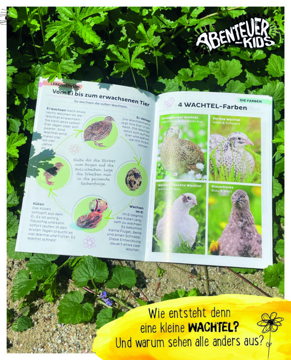 Buch über Wachteln