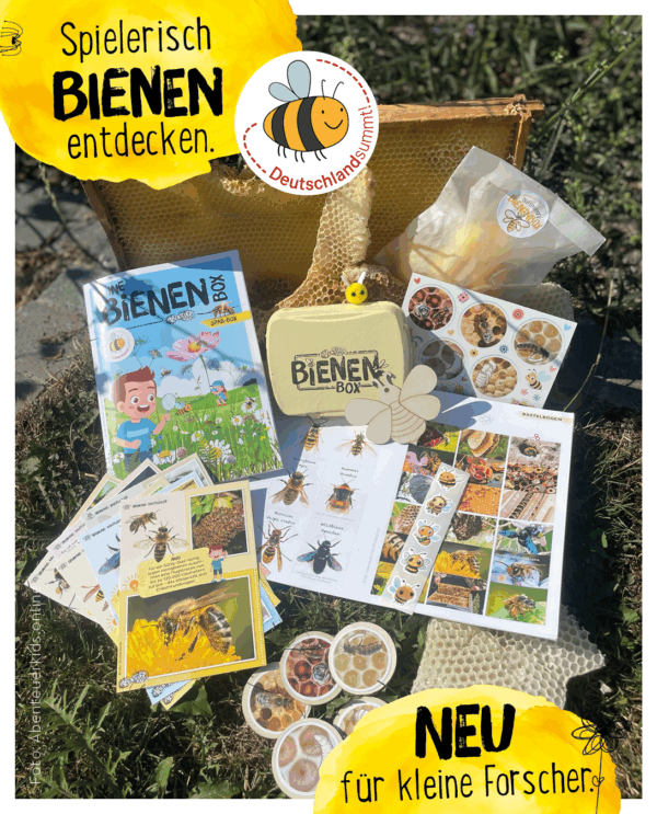 Alles was in der Bienenbox drin ist.