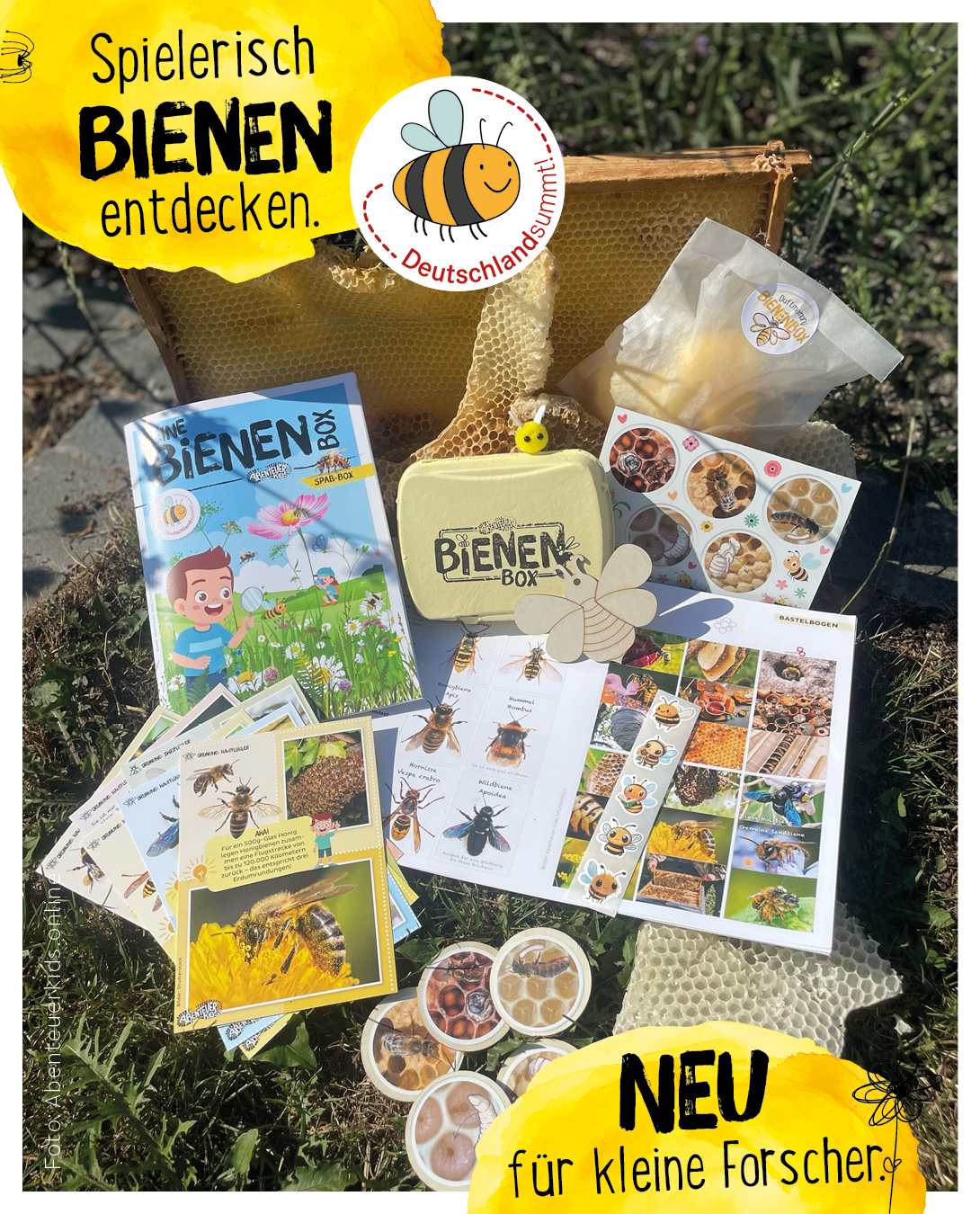 Alles was in der Bienenbox drin ist.