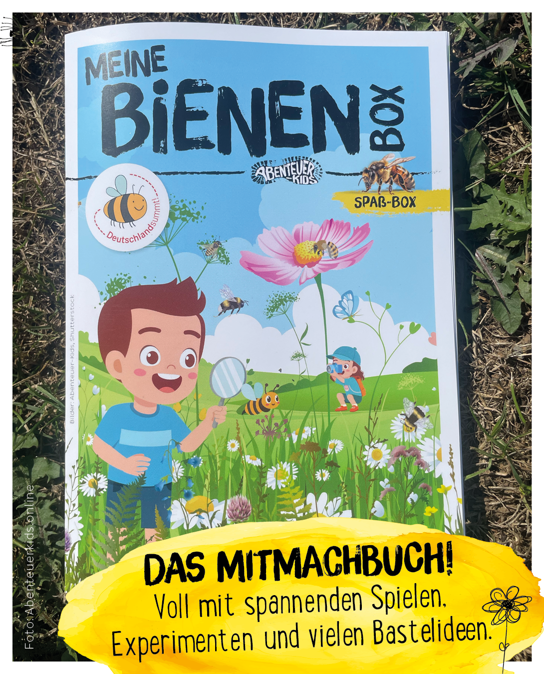 Wissensbuch über Bienen Wildbienen