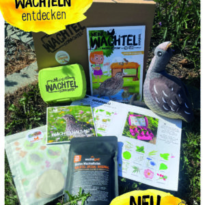 Wachte-Schachtel Inhalt -Starter-Schachtel