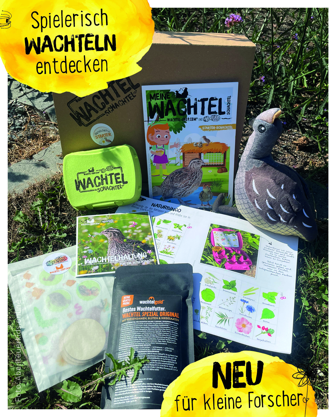 Wachte-Schachtel Inhalt -Starter-Schachtel