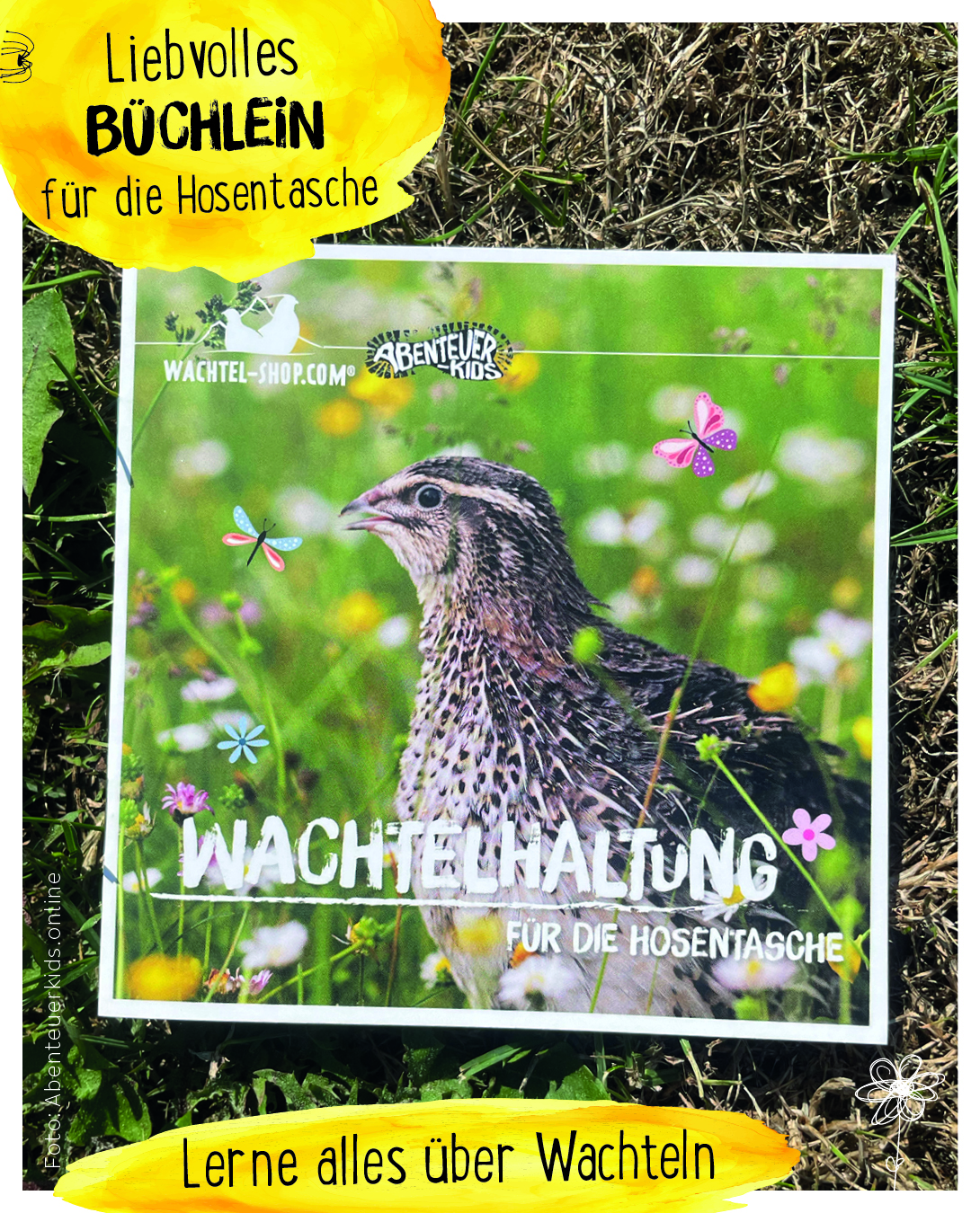 Wachte-Schachtel -Starter-Schachtel Pixi Buch für die Hosentasche Wachtelhaltung