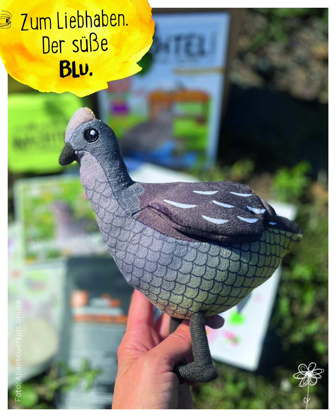 Wachte-Schachtel -Starter-Schachtel Kuscheltier Wachtel Blu aus dem Wachtelshop