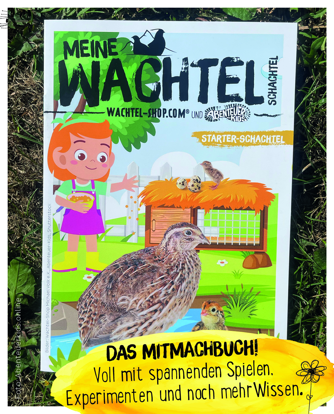 Wachte-Schachtel -Starter-Schachtel Mitmachbuch mit ganz viele Spielen, Experimente, DIYs und Wachtelwissen