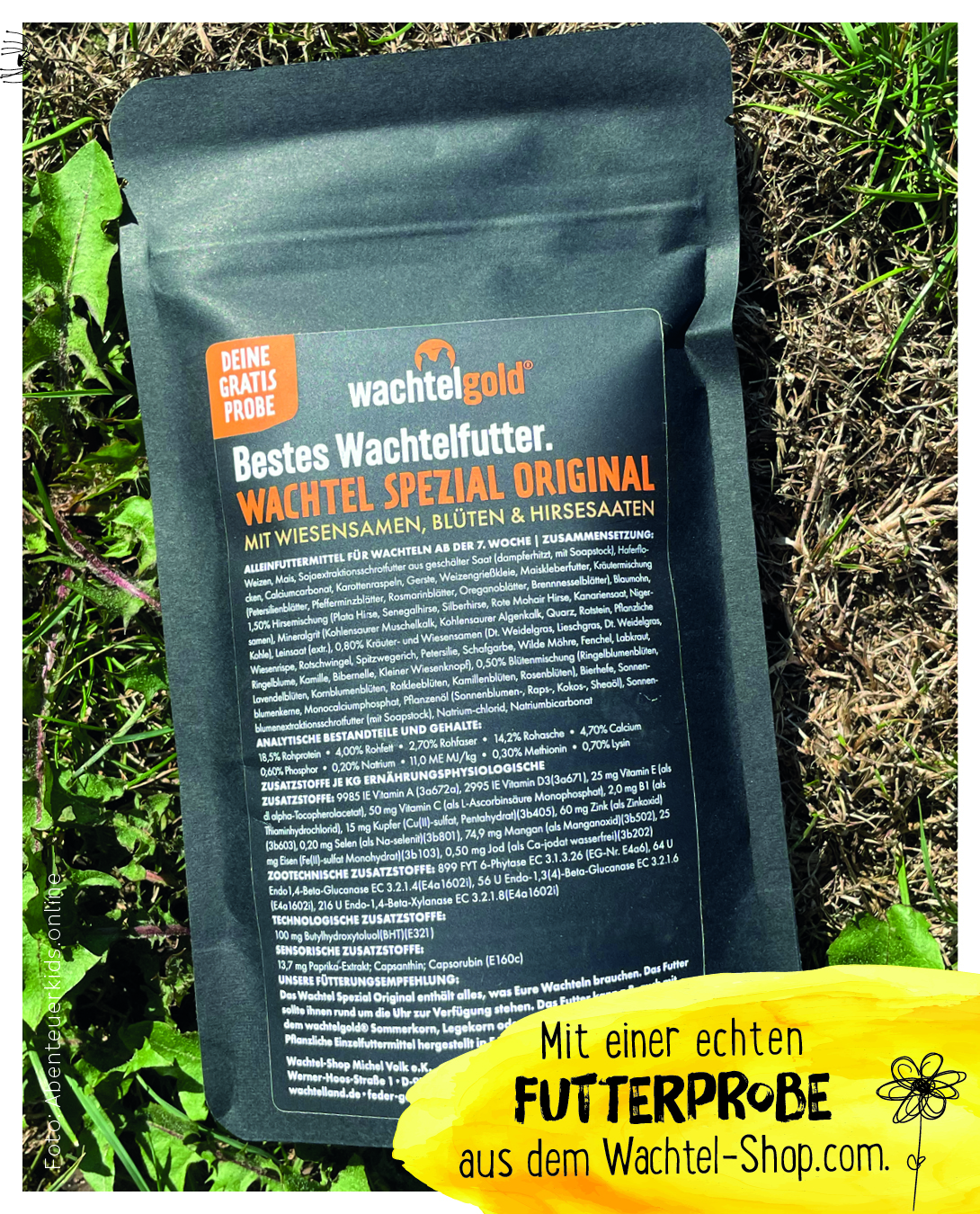 Wachte-Schachtel -Starter-Schachtel Echte Futter probe für Wachtefuteter aus dem Wachtelland Wachtelgold