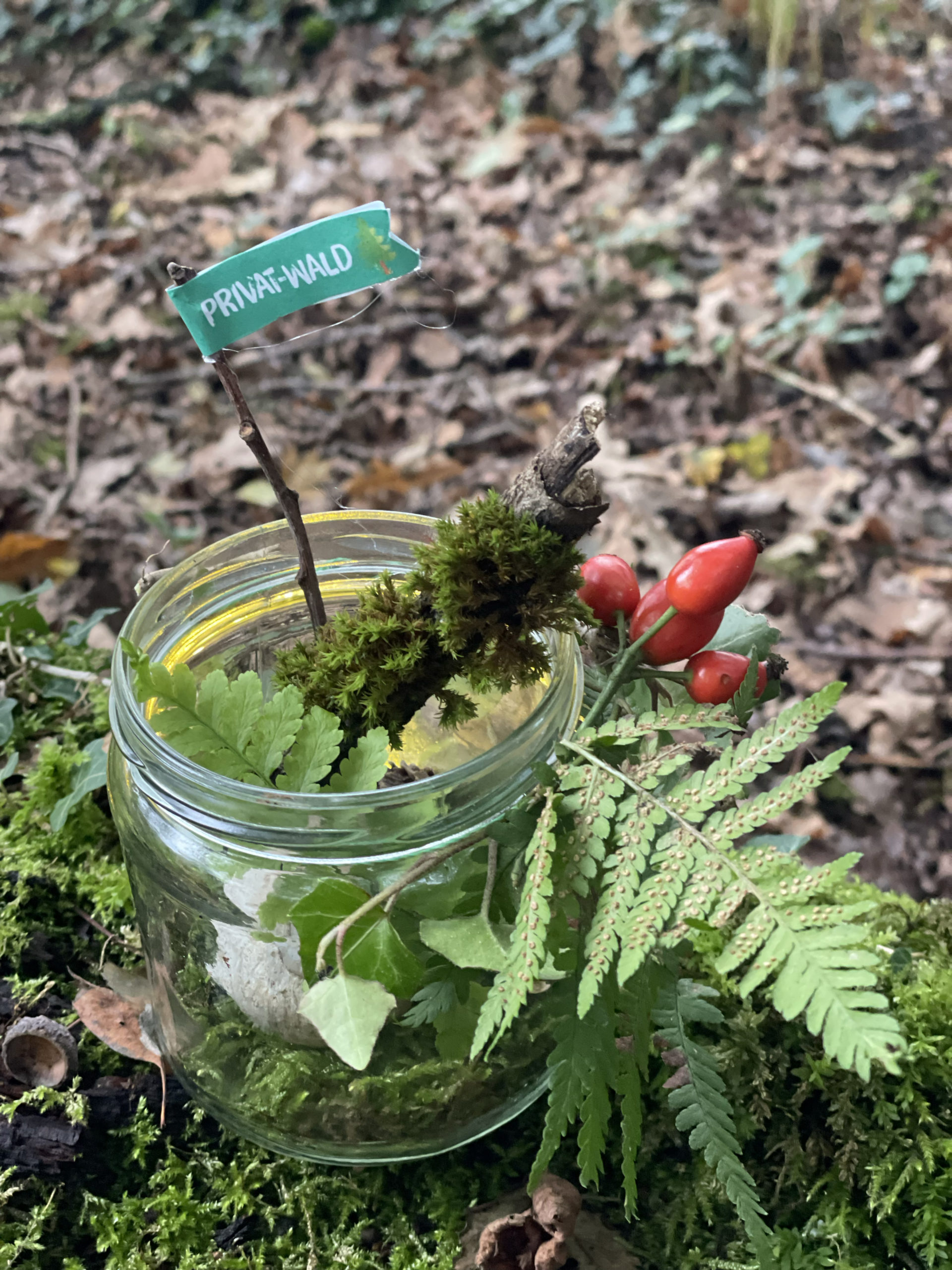 2.0 Abenteuer-Kids - Wichtel-Adventskalender 2.0 – Bild 14