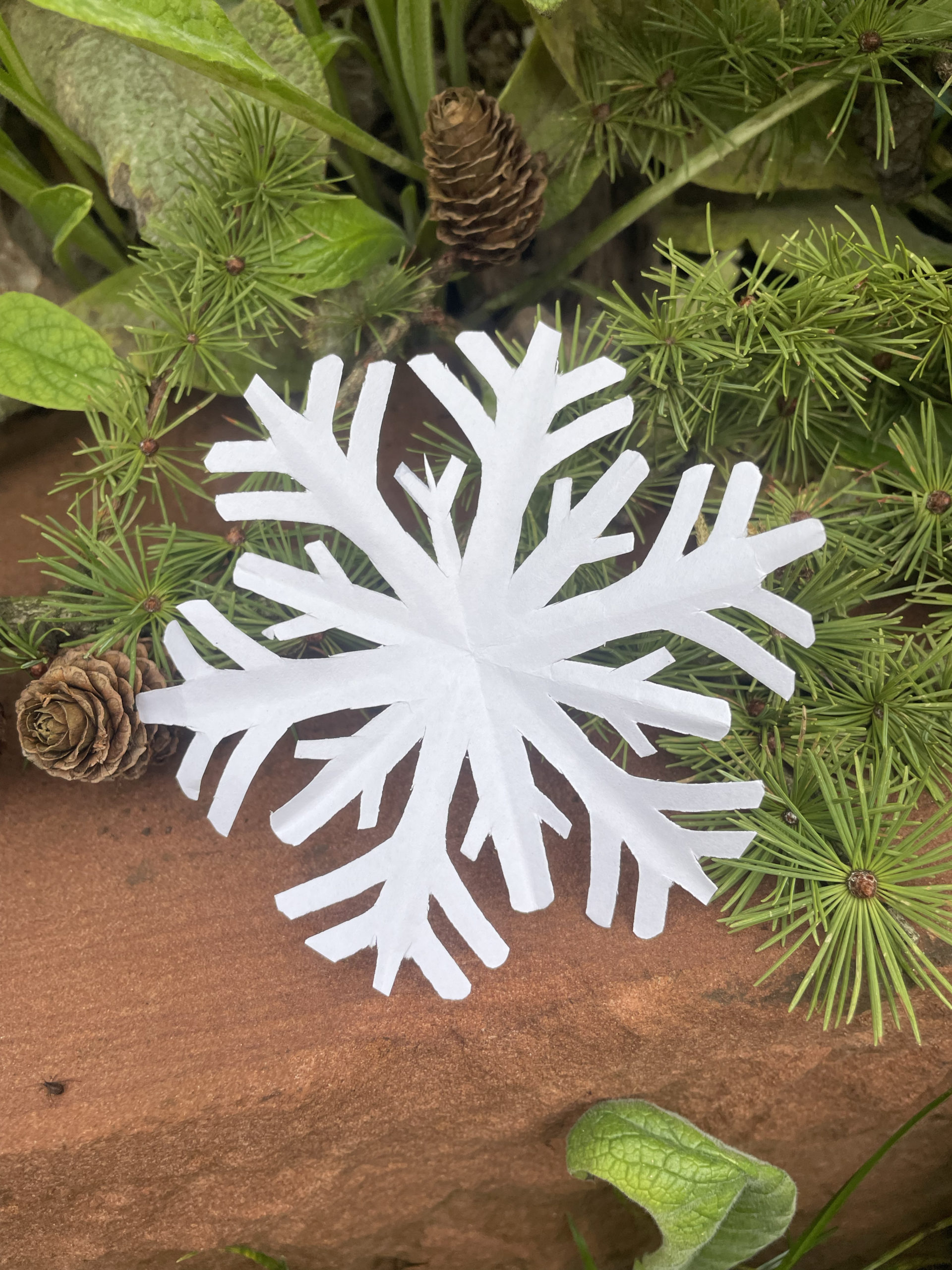 2.0 Abenteuer-Kids - Wichtel-Adventskalender 2.0 – Bild 12