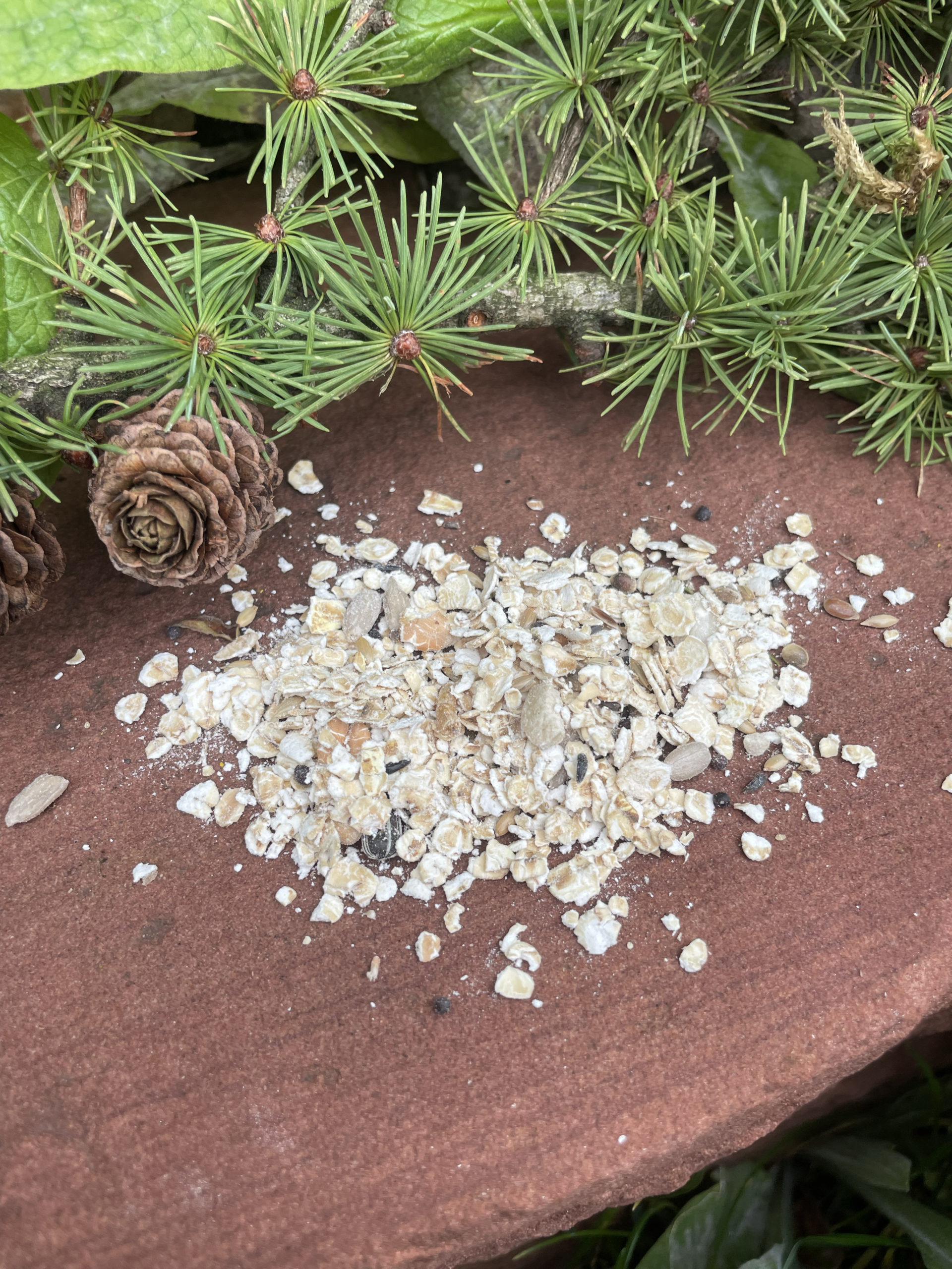 2.0 Abenteuer-Kids - Wichtel-Adventskalender 2.0 – Bild 10