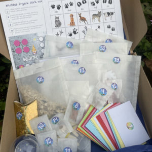 2.0 Abenteuer-Kids - Wichtel-Adventskalender 2.0