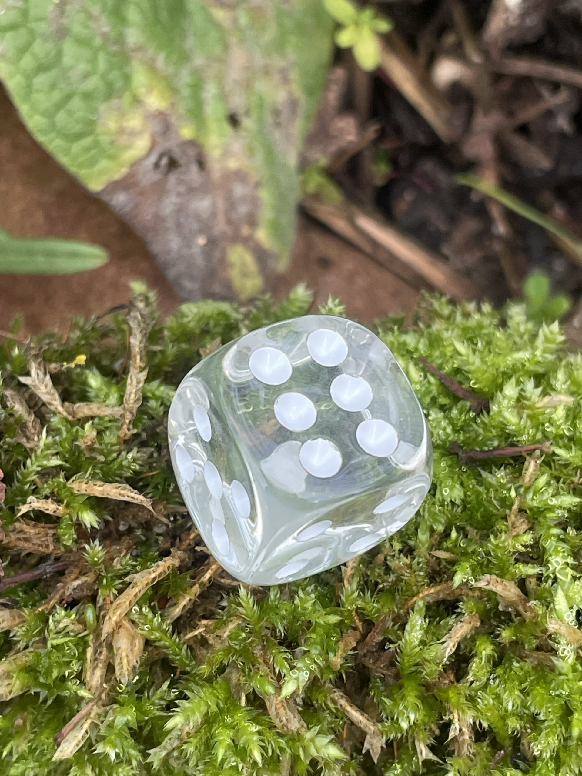 2.0 Abenteuer-Kids - Wichtel-Adventskalender 2.0 – Bild 4