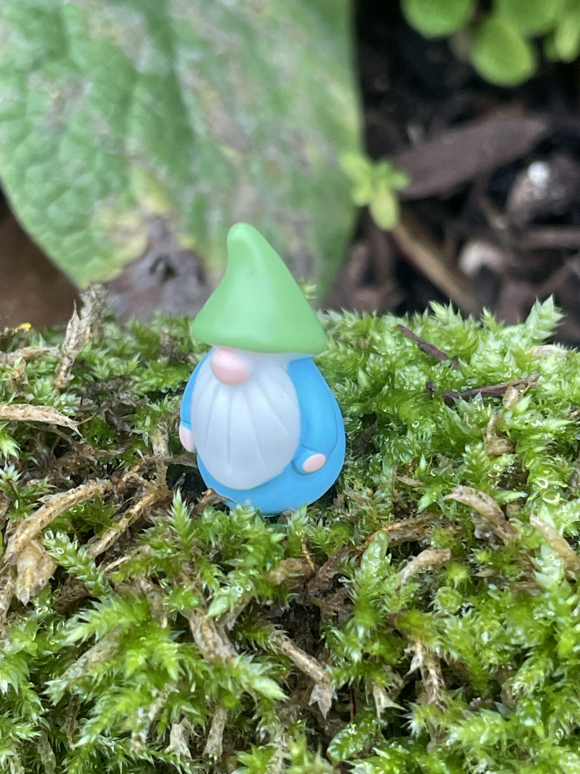 2.0 Abenteuer-Kids - Wichtel-Adventskalender 2.0 – Bild 6