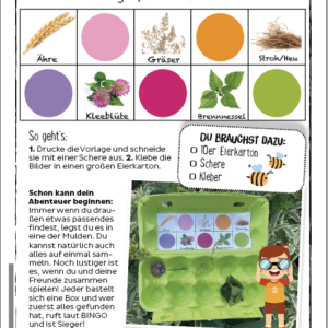 Natur-Bingo-für den Sommer_Abenteuer-Kids